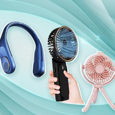 Top picks for personal fans