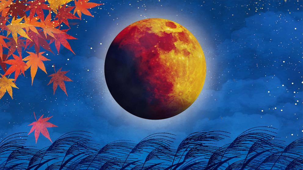 The Harvest Moon which is the full moon in September this year is also partial lunar eclipse and will arrive on Sept. 17, 2024.