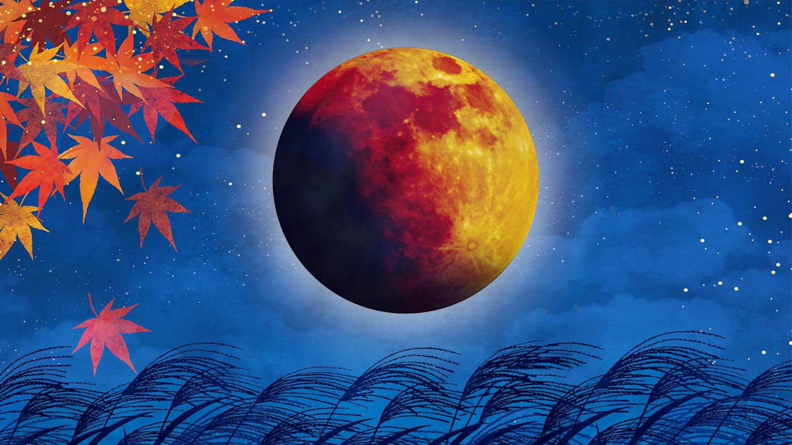 The Harvest Moon which is the full moon in September this year is also partial lunar eclipse and will arrive on Sept. 17, 2024.