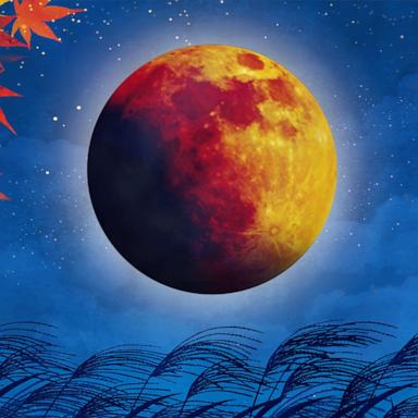 The Harvest Moon which is the full moon in September this year is also partial lunar eclipse and will arrive on Sept. 17, 2024.