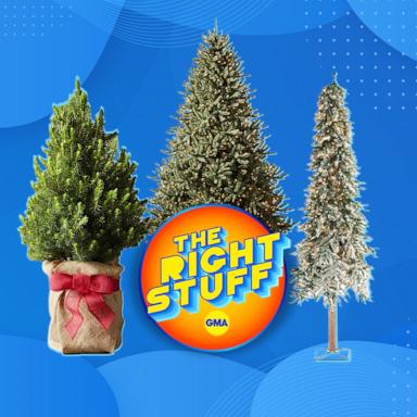 Shop top artificial Christmas trees