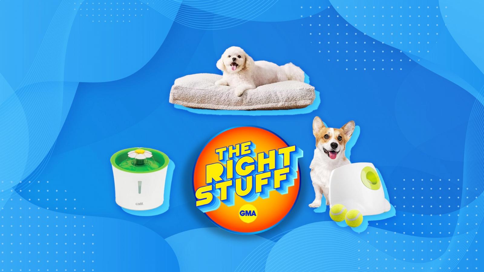 PHOTO: The Right Stuff Pets. Tennis Ball Launcher, Catit Flower Cat Water Fountain, Saatva Dog Bed