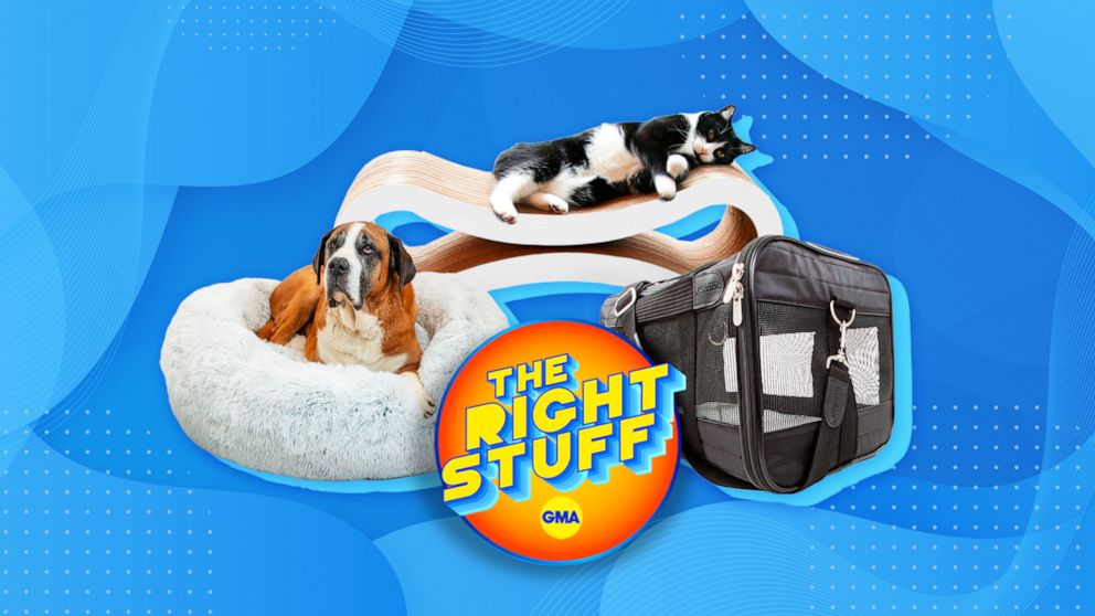 VIDEO: Shop top essentials for dogs, cats and more