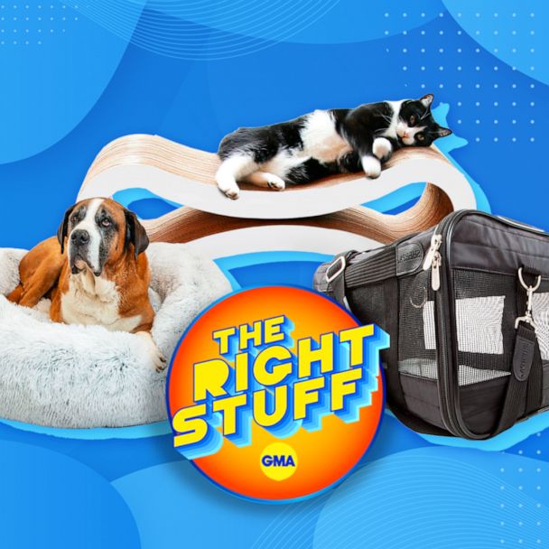 Shop top pet essentials for your 4-legged friends - Good Morning