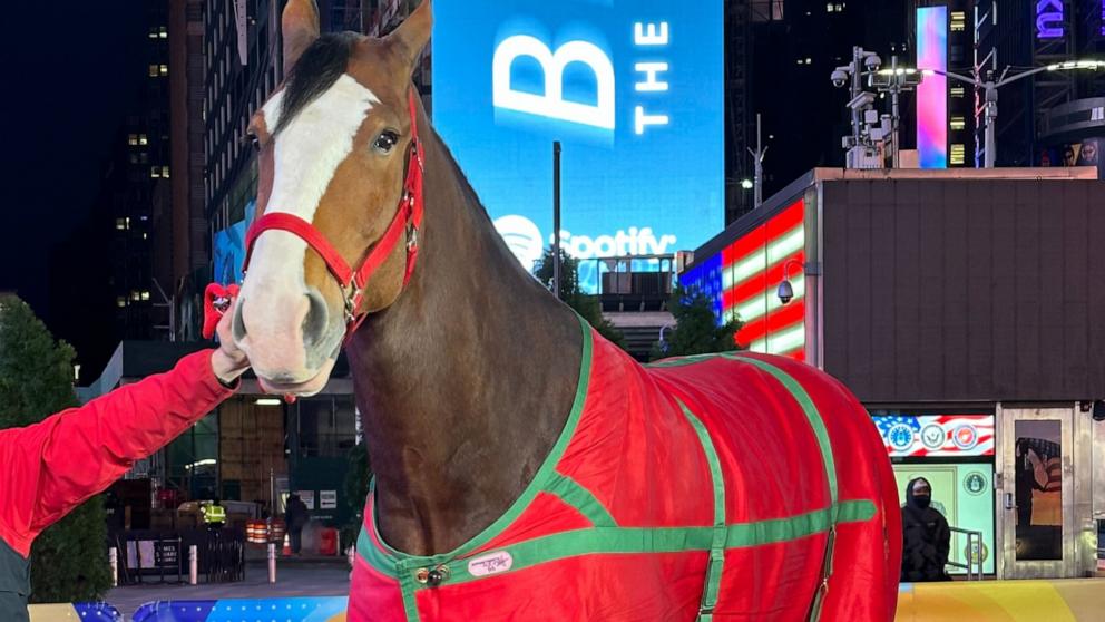 VIDEO: Budweiser brings back Clydesdales in 2024 Super Bowl ad