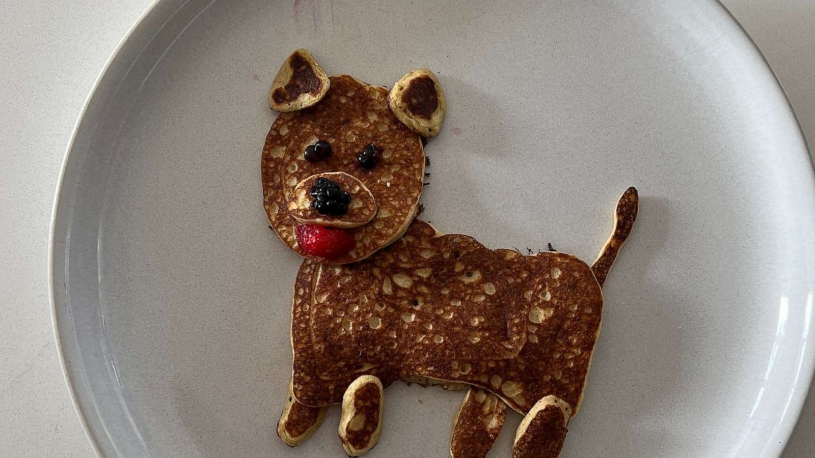 PHOTO: A Cairn Terrier-shaped pancake.