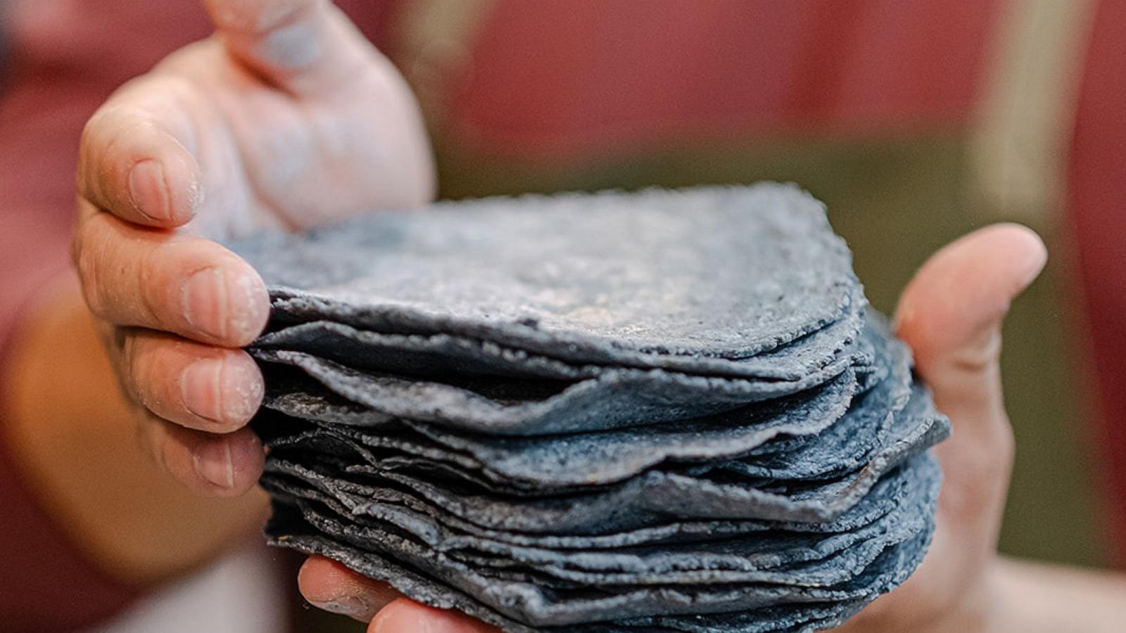 PHOTO: Milpa chef and owner DJ Flores holds a stack of fresh blue corn tortillas.