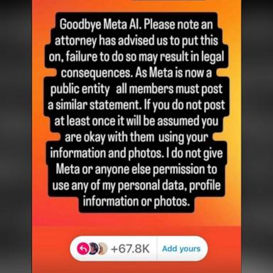 PHOTO: People are sharing to their Instagram stories text that says "Goodbye Meta AI."