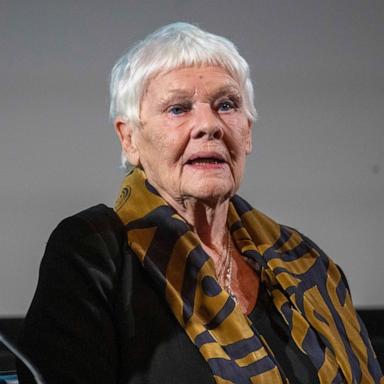 PHOTO: Dame Judy Dench introduces a screening of 'Iris' at BFI Southbank on December 08, 2024 in London, England. 