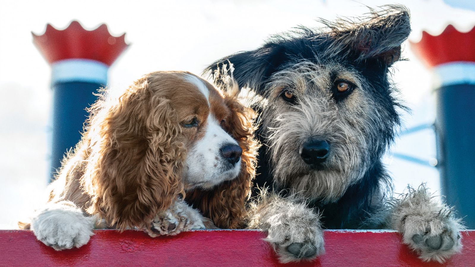 PHOTO: Live-action "Lady and the Tramp" paws its way onto the cover of Disney Twenty-Three magazine.