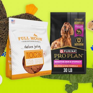 PHOTO: Amazon Pet Day 2025: Shop dog and cat treats, toys, beds and more