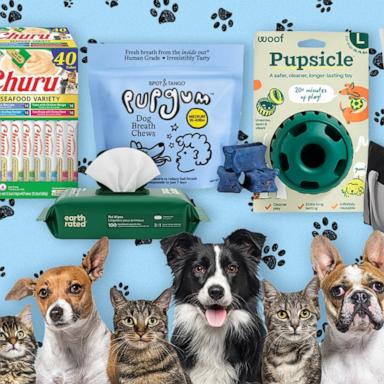 PHOTO: Shop essentials for dogs, cats and beyond