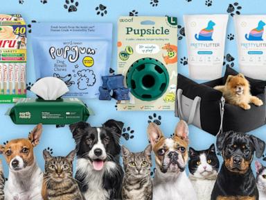 all for paws zinngers flying plush dog toy Helga