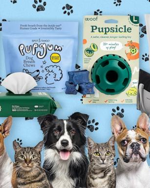 It's the last day of Amazon Pet Days! Shop bestselling essentials