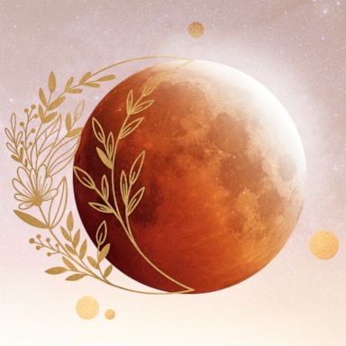 The full moon was dubbed "Flower Moon" because flowers spring forth across North America in abundance around this time.