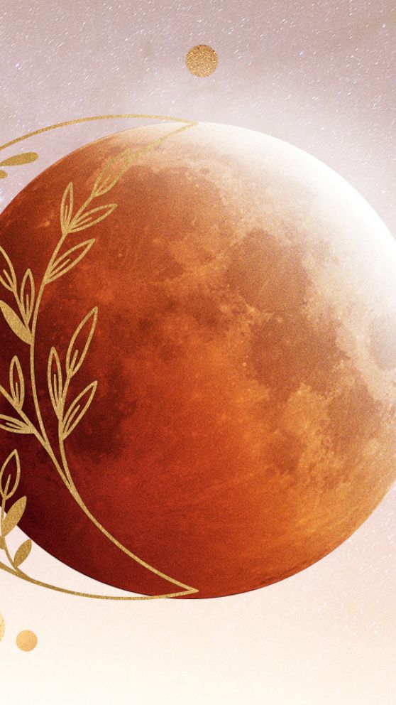 VIDEO: What you need to know about May’s Flower Moon