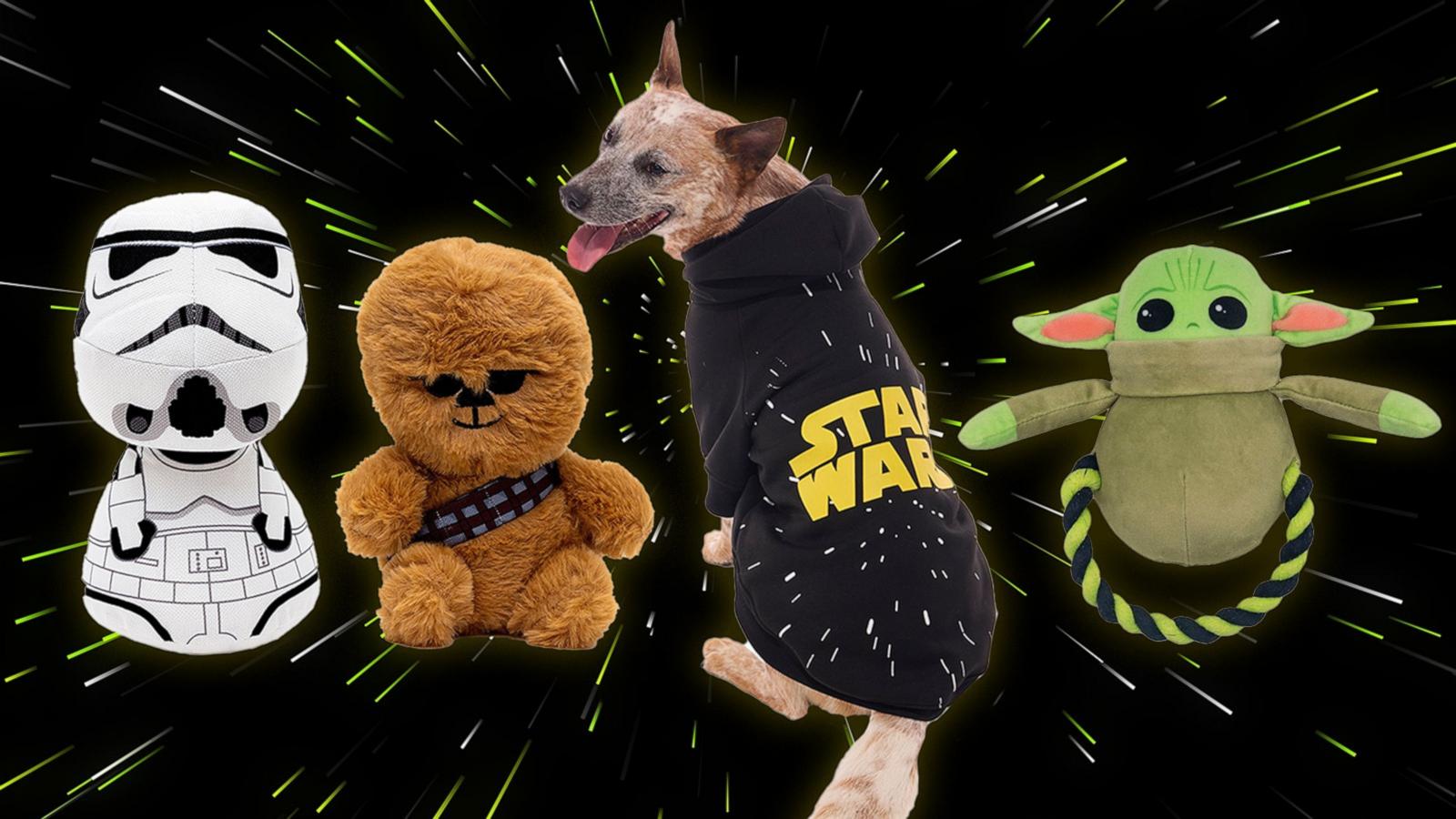 PHOTO: Celebrate May the Fourth with these "Star Wars" pet products