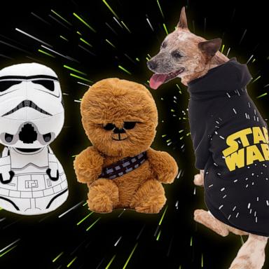 PHOTO: Celebrate May the Fourth with these "Star Wars" pet products