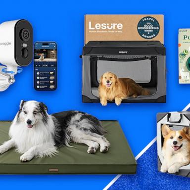 PHOTO: Pet deals you can't miss during Amazon Prime Big Deal Days
