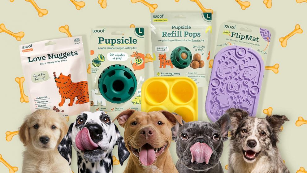 PHOTO: Dog enrichment: Veterinarian advice for improving your pup's quality of life