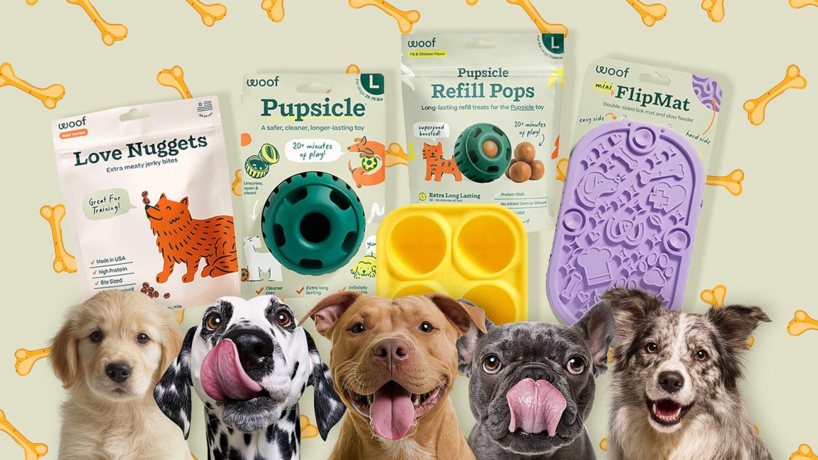 PHOTO: Dog enrichment: Veterinarian advice for improving your pup's quality of life