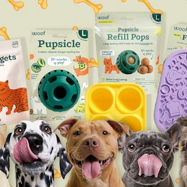 PHOTO: Dog enrichment: Veterinarian advice for improving your pup's quality of life