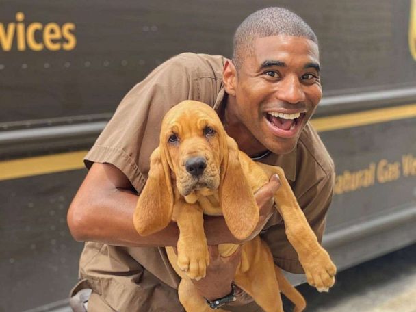 ARB The Best 　 POWER UP! HOUND DOG UPS driver goes viral for adorable selfies he takes with pups on