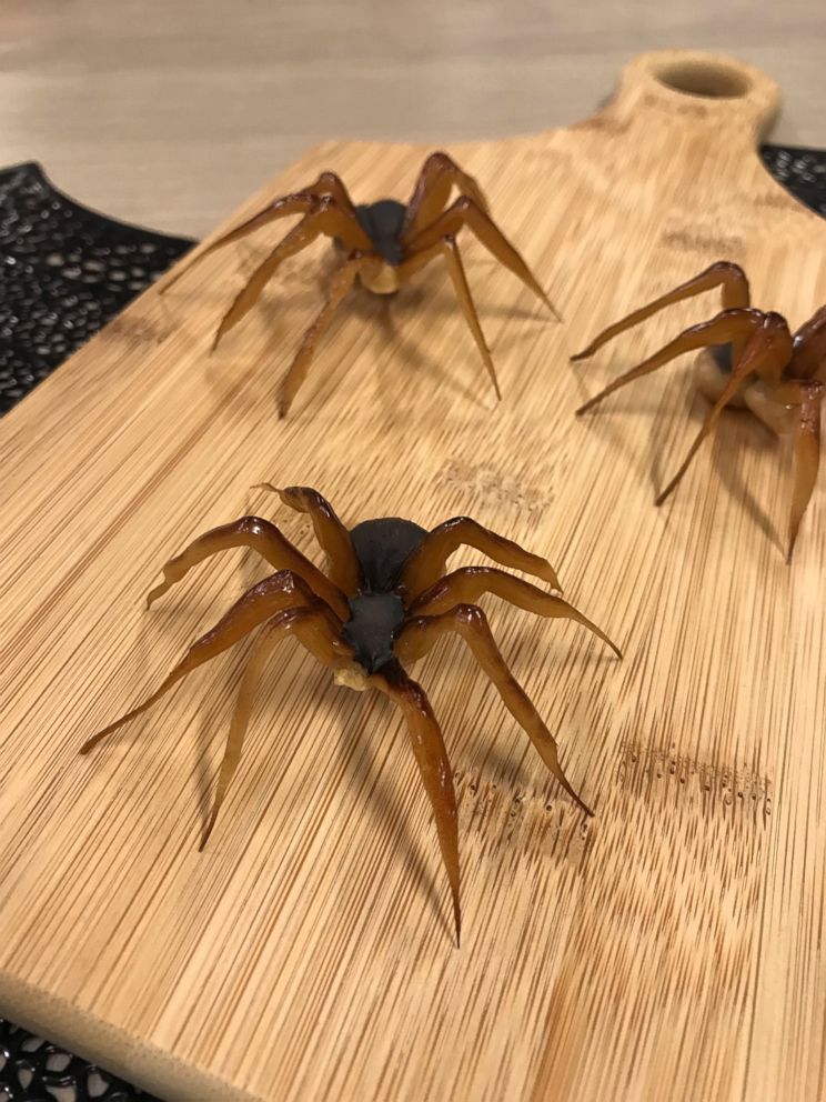 PHOTO: "Curious Creations" star Christine McConnell's Caramel Nut Brown Recluse Spiders