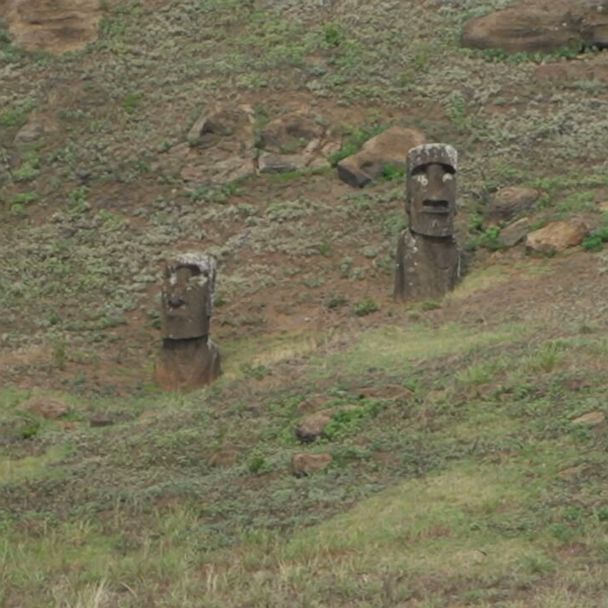 'GMA' gets 1st look at new moai statue found on Easter Island