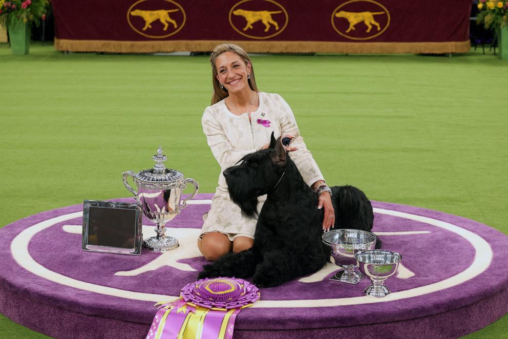 PHOTO: Monty, a Giant Shnauzer, winner of Best in Show, and its owner Katie Bernardin pose for photographs during the 149th Annual Westminster Kennel Club Dog Show at Madison Square Garden in New York City on Feb. 11, 2025.