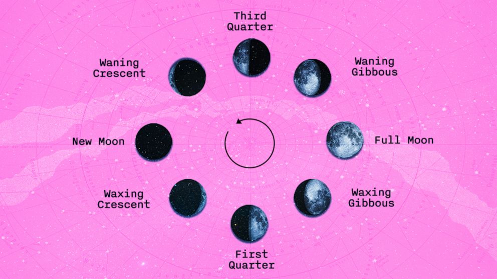The eight phases of the monthly lunar cycle