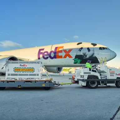 PHOTO: Giant pandas Ping Ping and Fu Shuang arrive in Atlanta from China on Sept. 27, 2026.