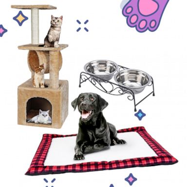 Shop The Purrfect Picks For Pets From Chewy Walmart And More Gma