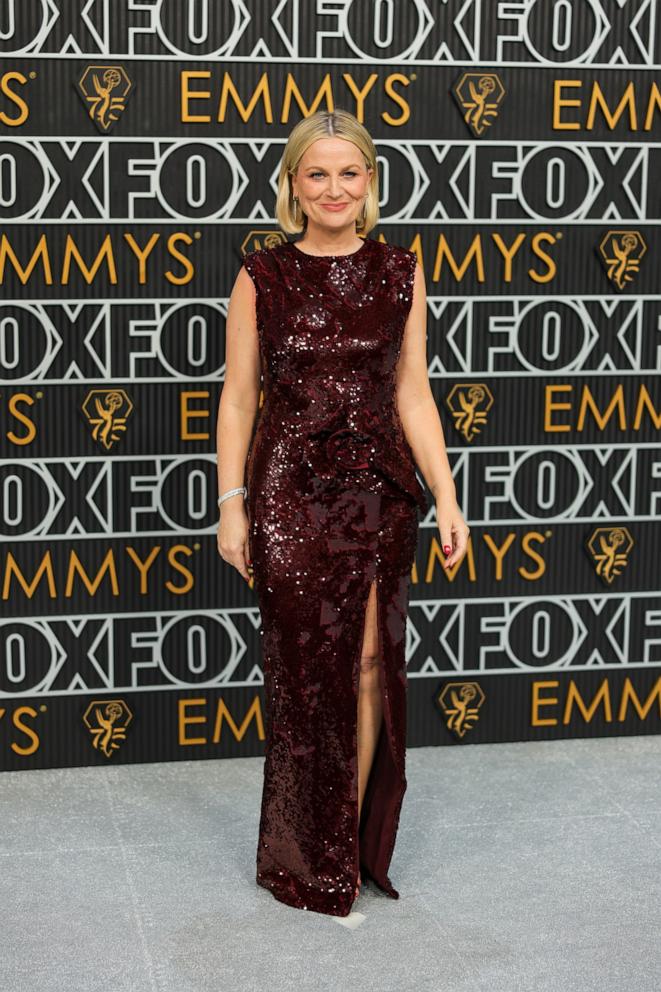 PHOTO: Amy Poehler attends the 75th Primetime Emmy Awards at Peacock Theater, Jan. 15, 2024, in Los Angeles.