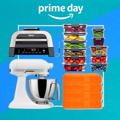 Prime Day Blender, Food Processor, Juicer & Mixer Deals (2023