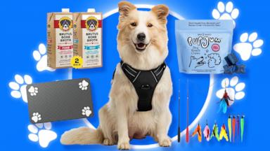 PrimeDay_PetRoundup_061726_178