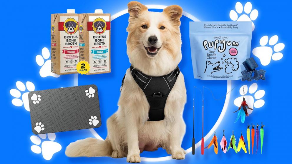 PHOTO: Prime Day 2026: Pet deals on cat and dog food, treats, toys and more