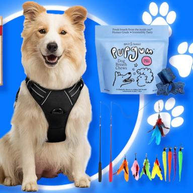 PHOTO: Prime Day 2026: Pet deals on cat and dog food, treats, toys and more