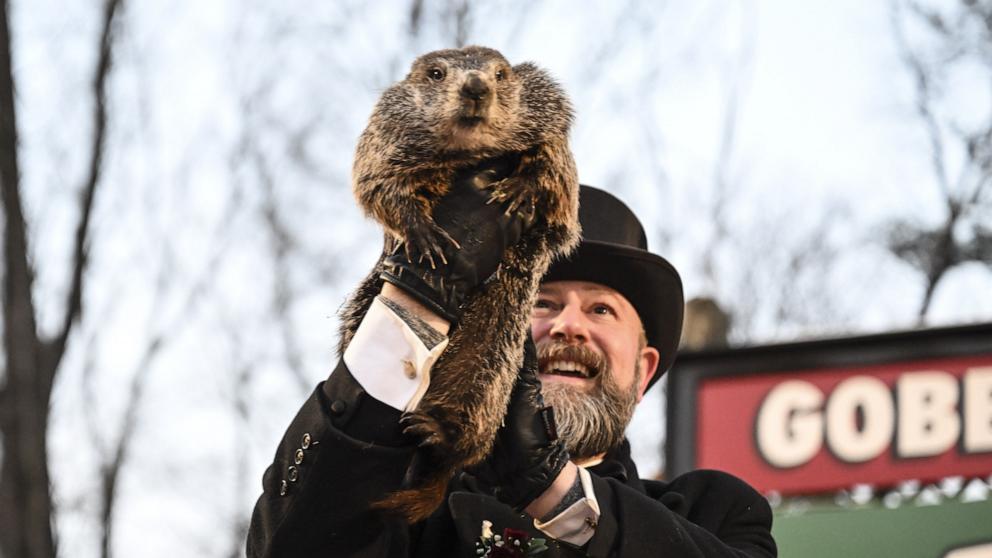 PHOTO: Punxsutawney Phil is seen during the Groundhog Day celebration at the Gobbler's Knob, Feb. 2, 2023, in Punxsutawney, Pa.