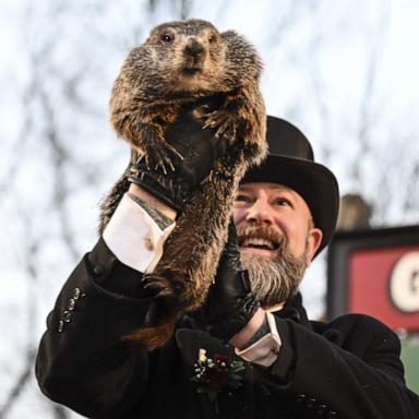 PHOTO: Punxsutawney Phil is seen during the Groundhog Day celebration at the Gobbler's Knob, Feb. 2, 2023, in Punxsutawney, Pa.