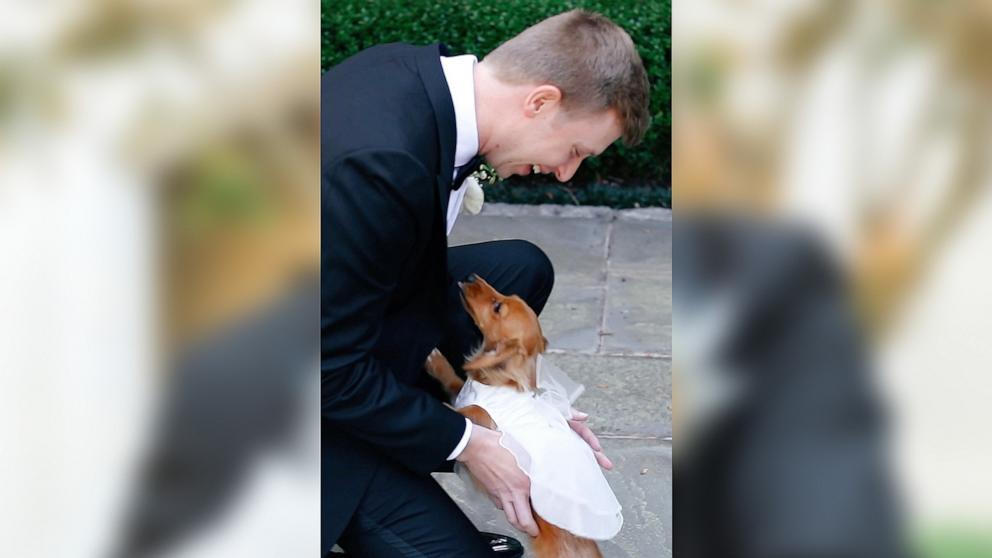 PHOTO: At their April 2024 wedding, Madeline Meineke surprised her groom Quinn Meineke with a special first look moment between him and their pet dog Pennie.