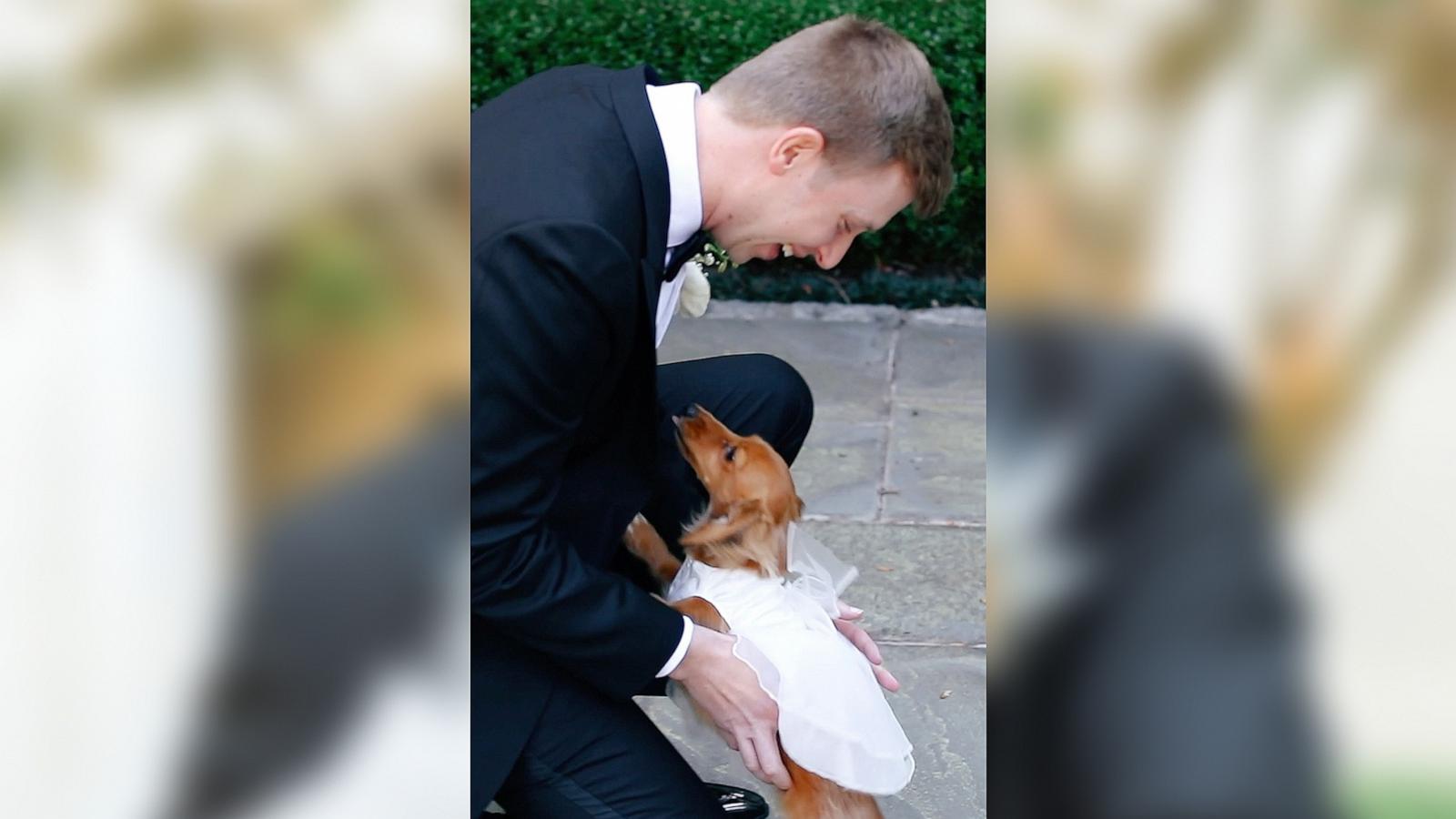 PHOTO: At their April 2024 wedding, Madeline Meineke surprised her groom Quinn Meineke with a special first look moment between him and their pet dog Pennie.