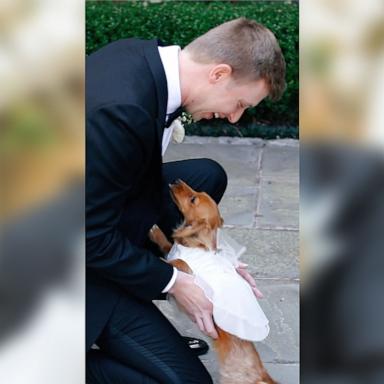 PHOTO: At their April 2024 wedding, Madeline Meineke surprised her groom Quinn Meineke with a special first look moment between him and their pet dog Pennie.