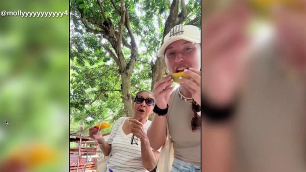 After meeting on a train, Molly Selin and Maria Alvarez traveled to Puerto Rico together, fulfilling Alvarez's longtime dream of returning to the island.