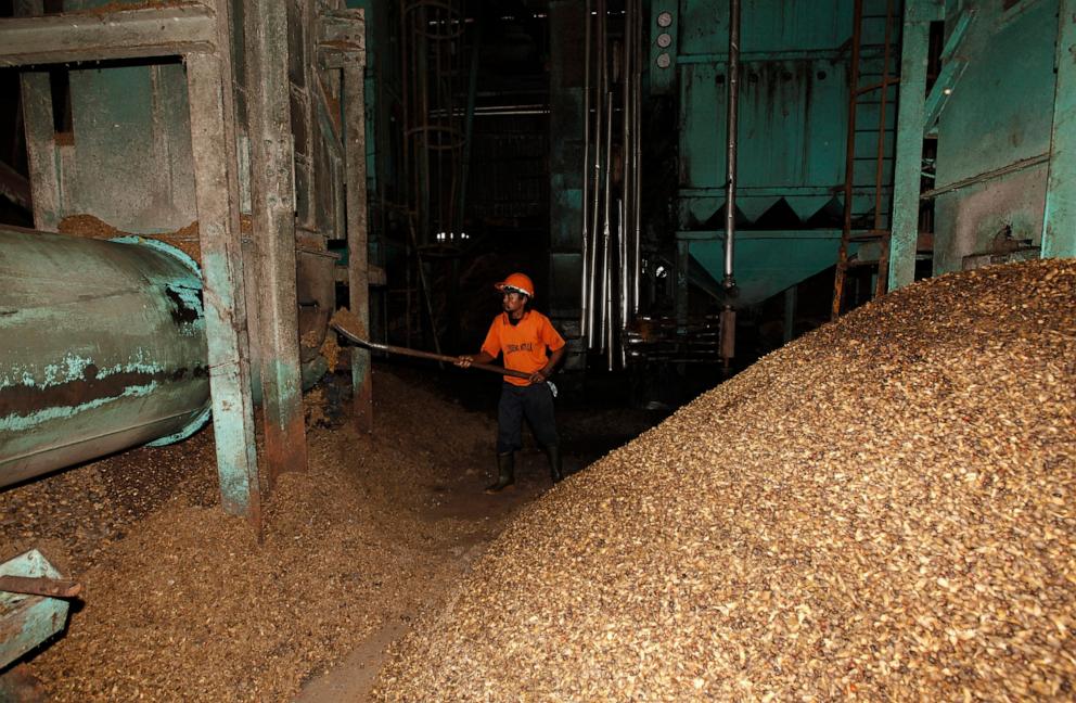 PHOTO:A worker loads oil palm kernels into a hydro-cyclone at the PT Perkebunan Nusantara VIII plantation and production factory in Kertajaya, Banten Province, Indonesia, June 20, 2011. 