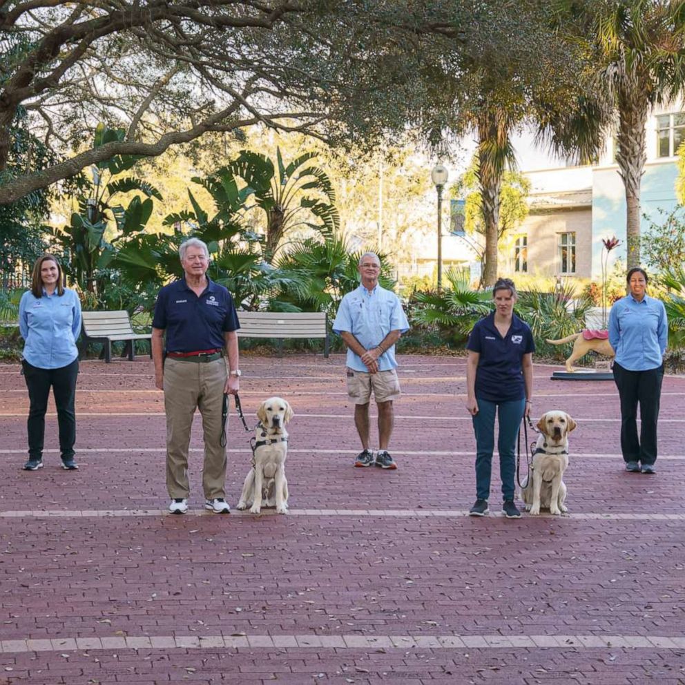 VIDEO: Watch these sweet guide dogs get paired with their new companions