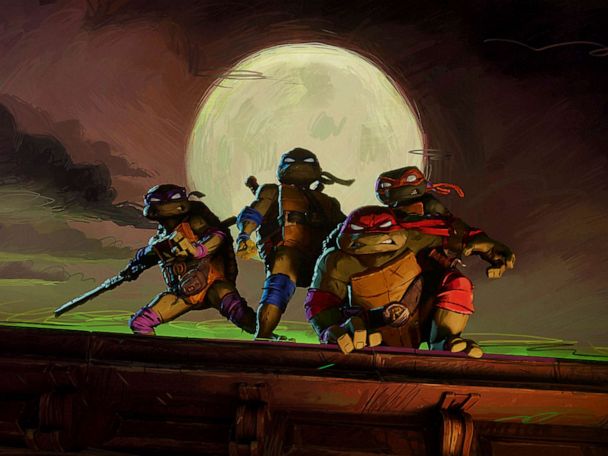 Producer Seth Rogen Announces Animated 'Teenage Mutant Ninja