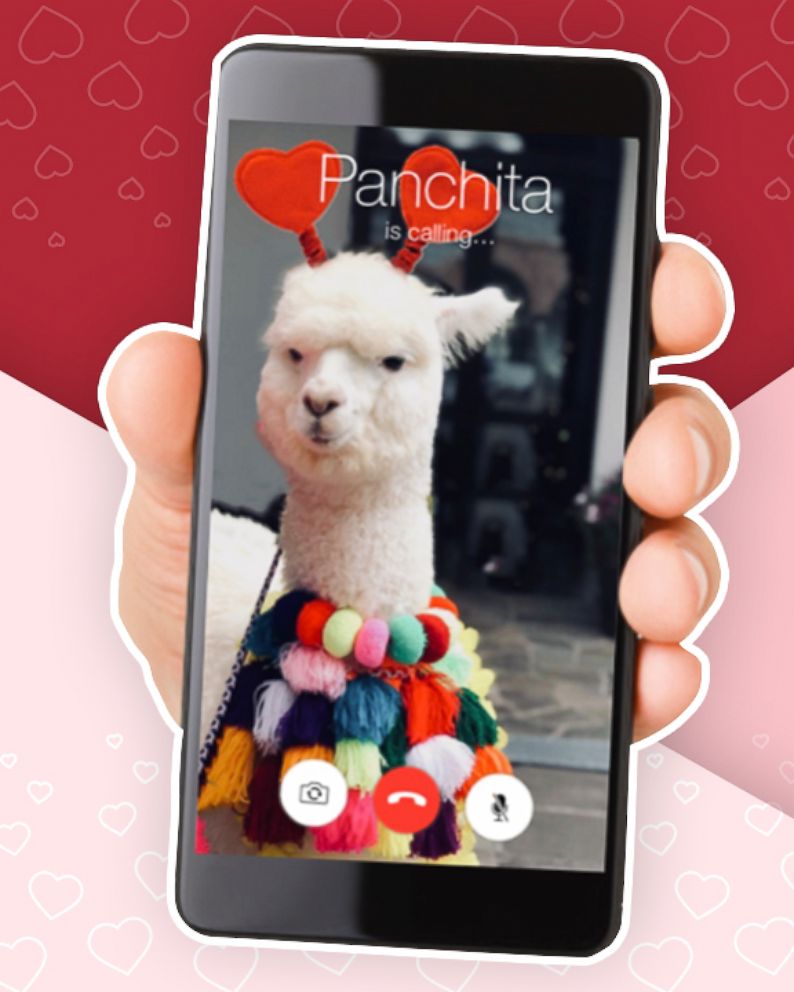 PHOTO: Valentines Phone