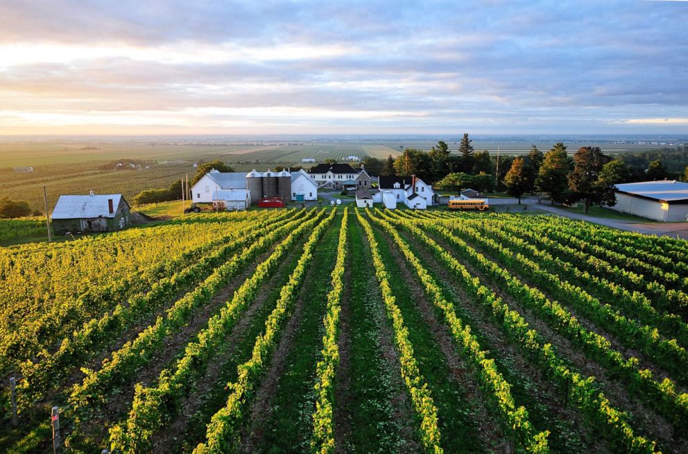 PHOTO: Vignoble Coteau Rougemont winery and vineyard.
