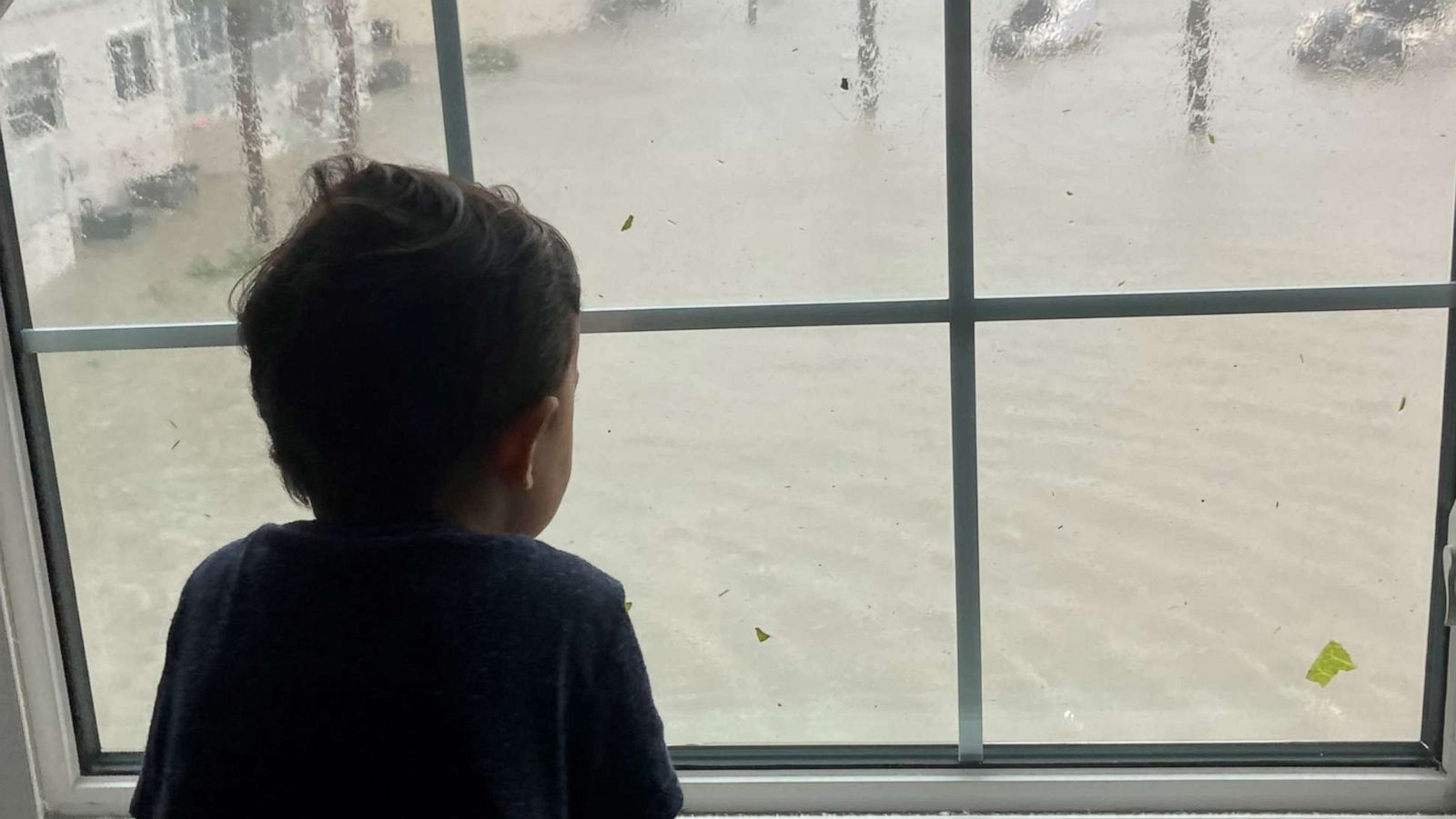 PHOTO: Zhenia Lopez-Figueroa's 2-year-old son watches Hurricane Ian from the family's Fort Myers Beach, Florida, apartment.